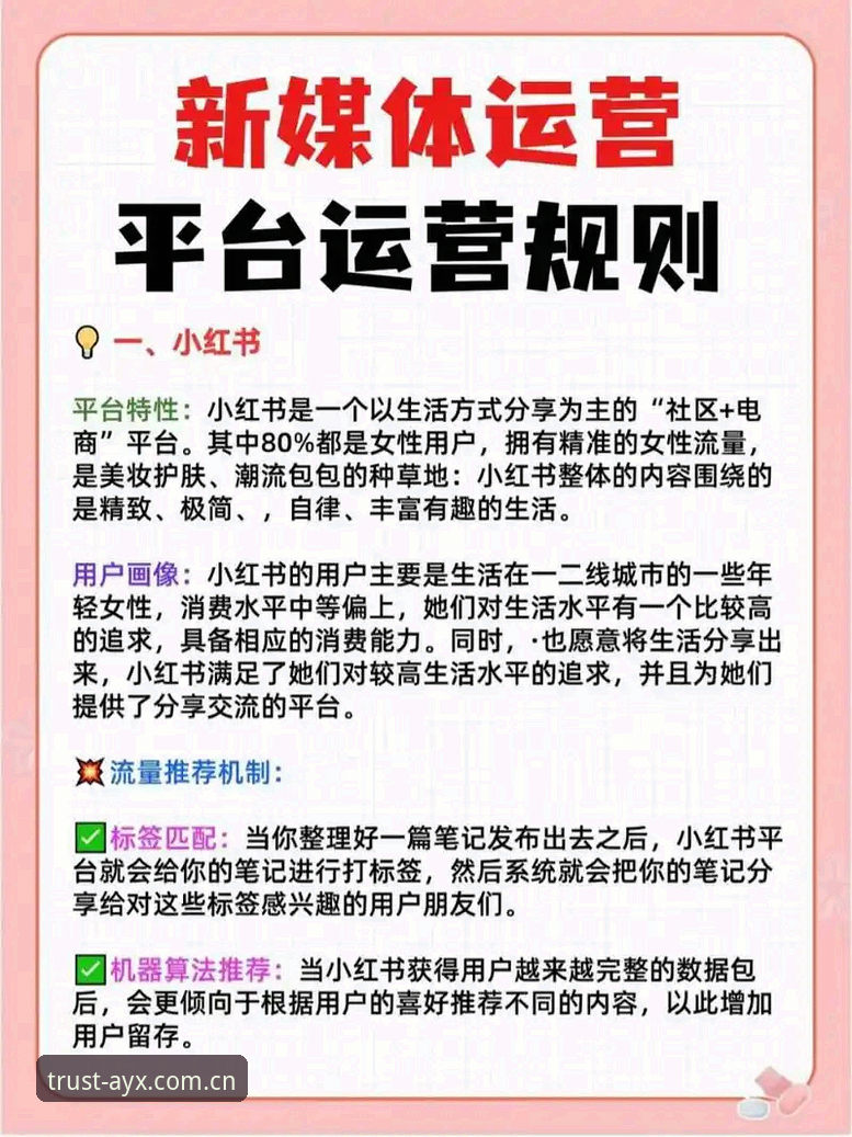 3步掌握AYX平台功能核心玩法，从新手到老手只需10分钟